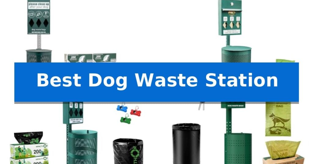 Best Dog Waste Station