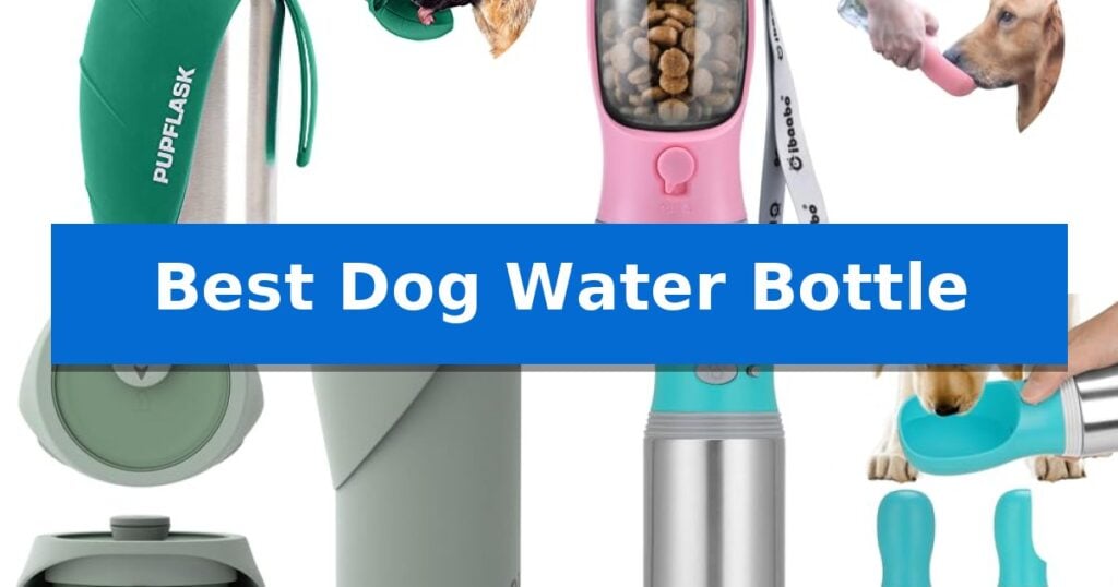 Best Dog Water Bottle