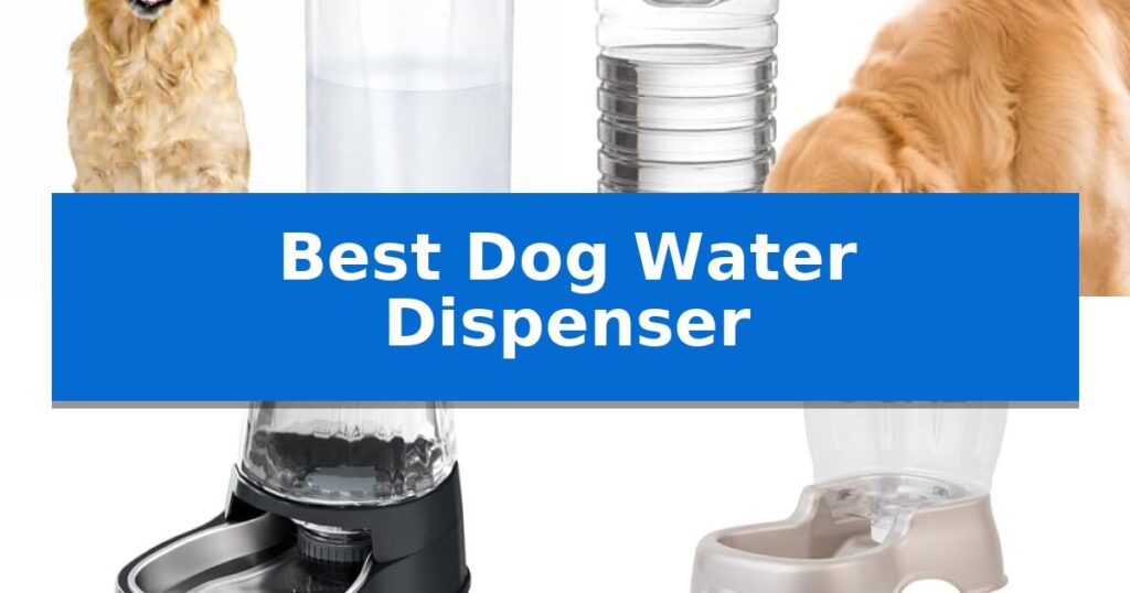 Best Dog Water Dispenser