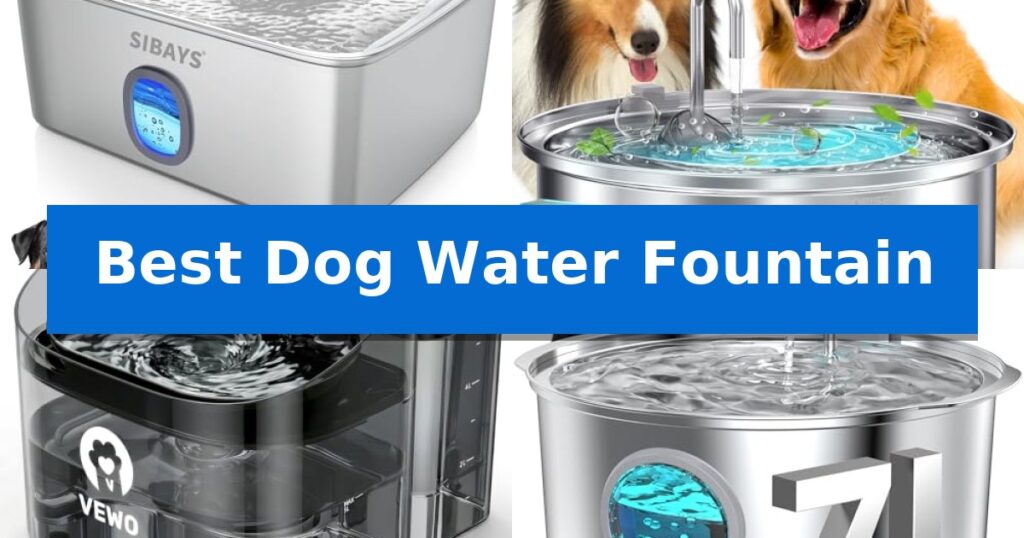 Best Dog Water Fountain