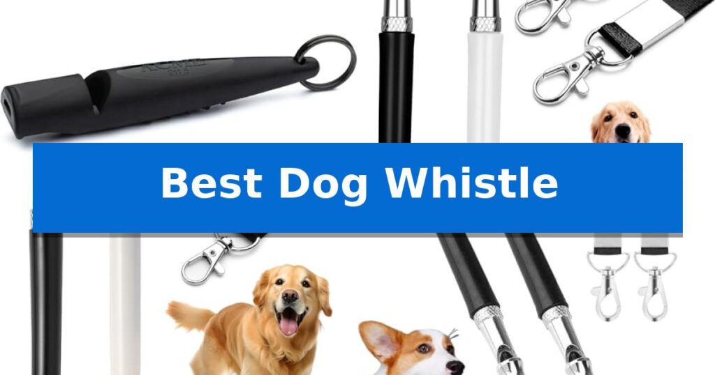 Best Dog Whistle
