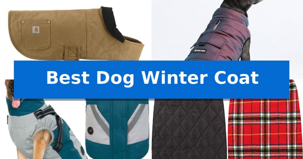 Best Dog Winter Coat