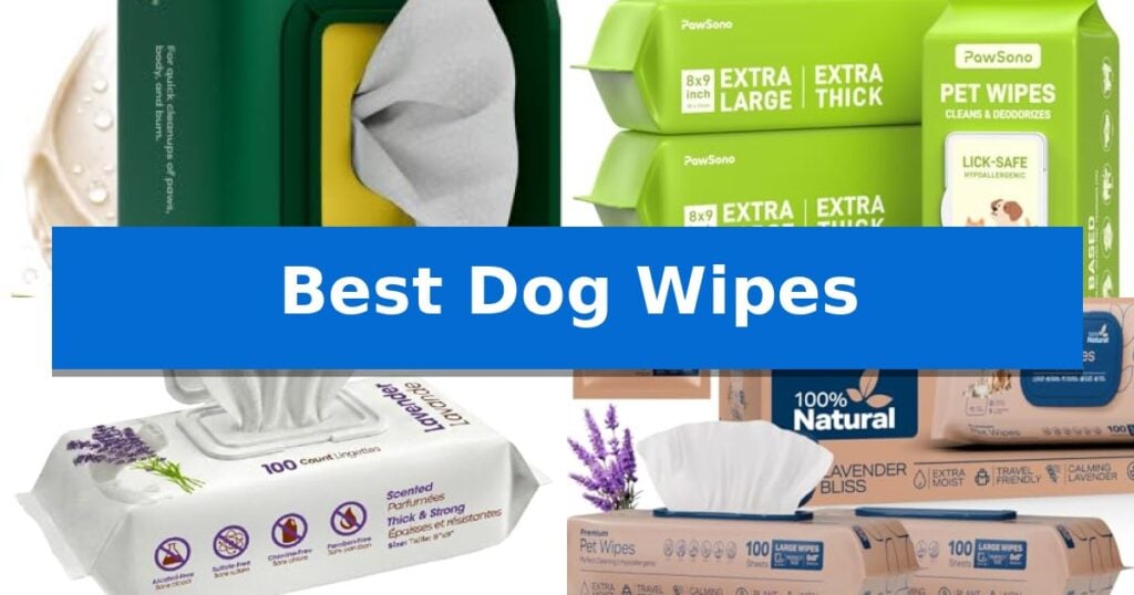 Best Dog Wipes