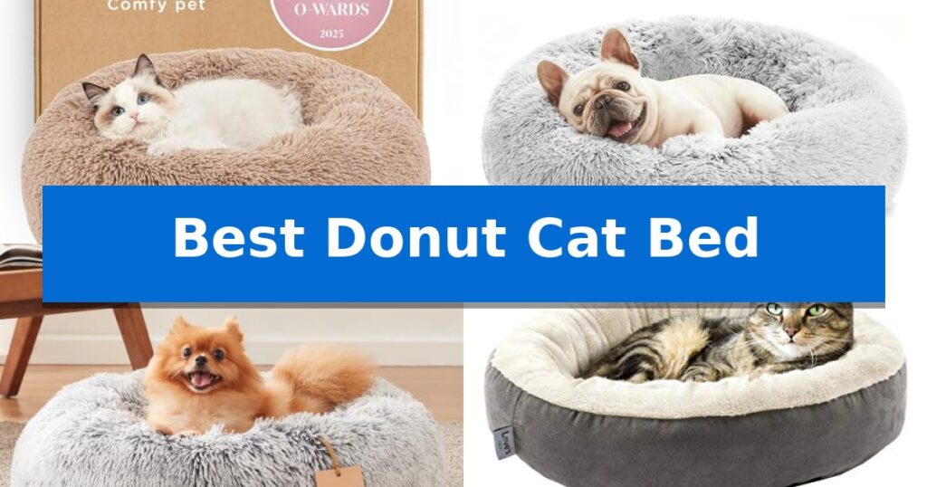 Best Donut Cat Bed