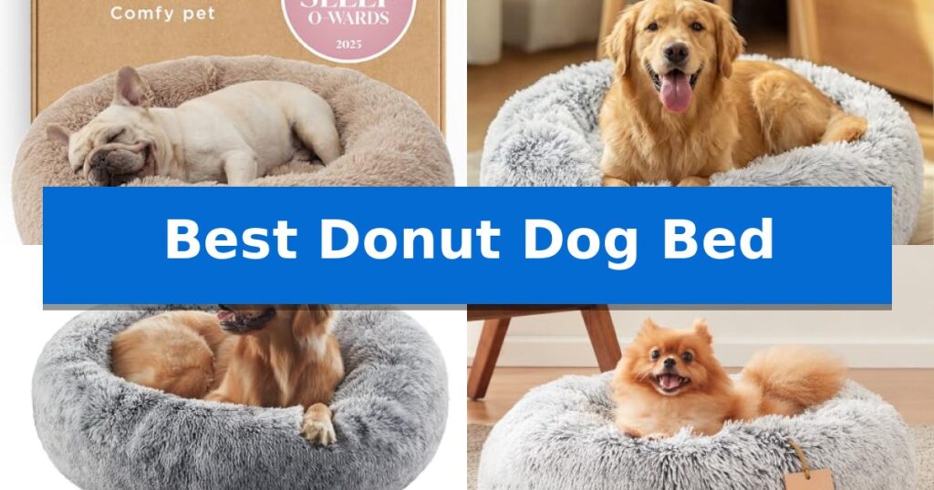 Best Donut Dog Bed