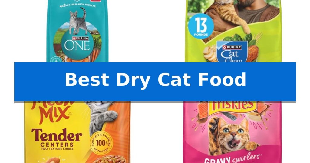 Best Dry Cat Food