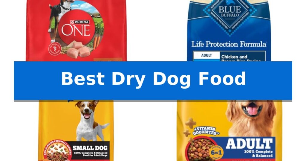 Best Dry Dog Food