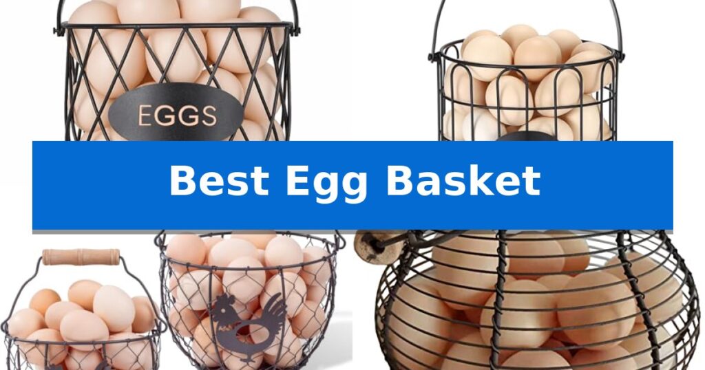 Best Egg Basket
