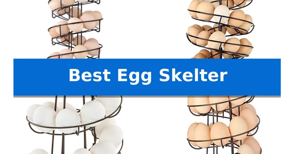 Best Egg Skelter