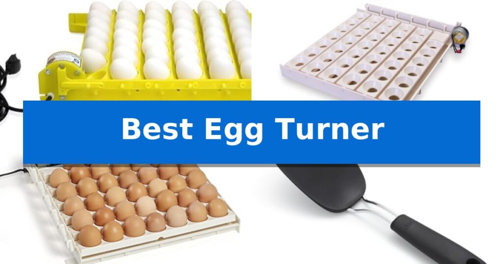 Best Egg Turner