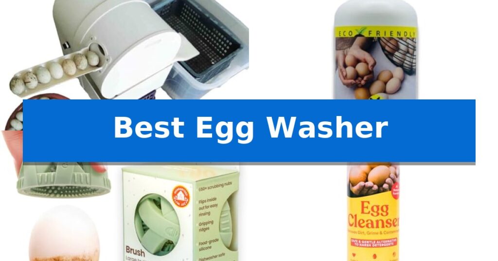 Best Egg Washer