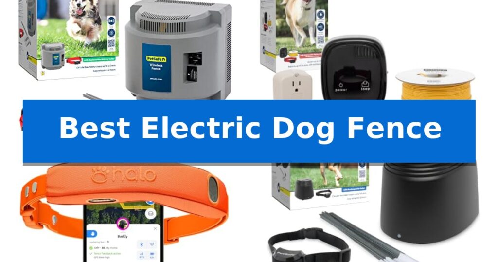 Best Electric Dog Fence
