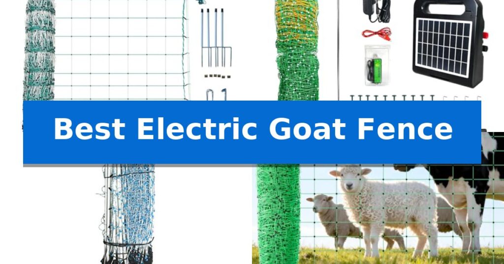 Best Electric Goat Fence