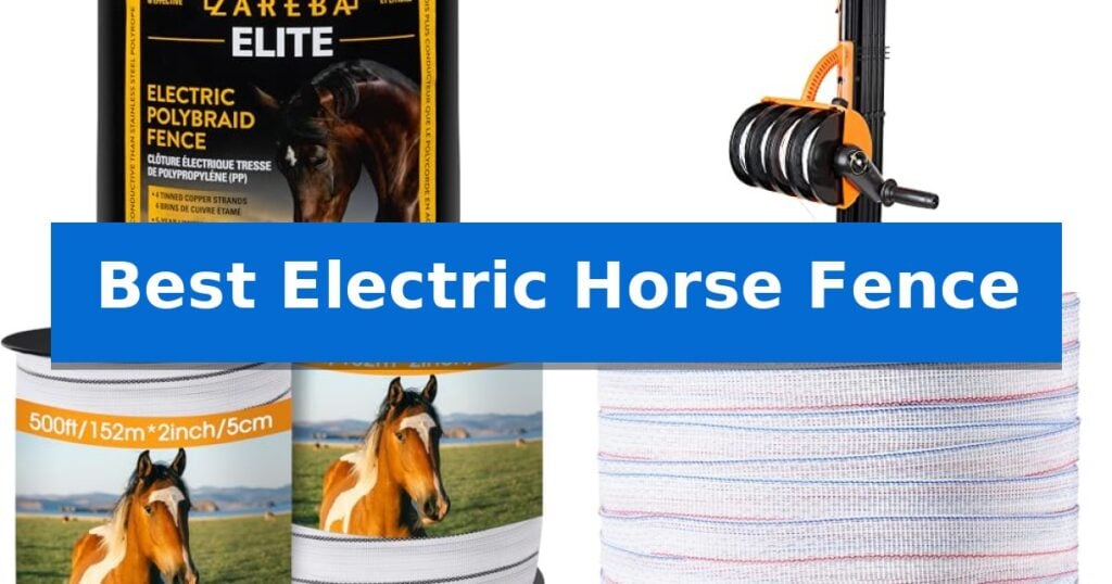 Best Electric Horse Fence