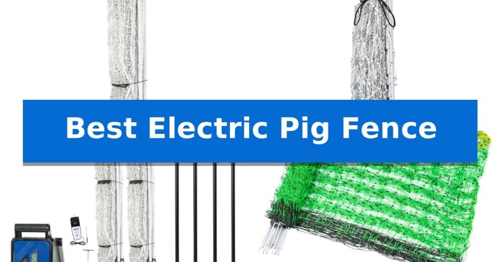 Best Electric Pig Fence