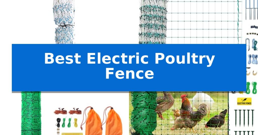Best Electric Poultry Fence