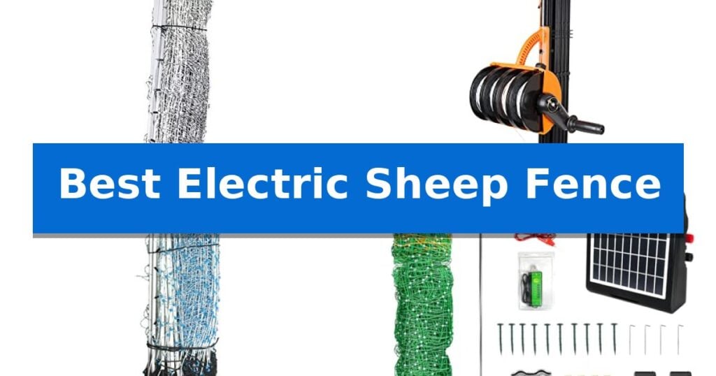 Best Electric Sheep Fence