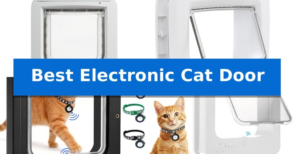 Best Electronic Cat Door