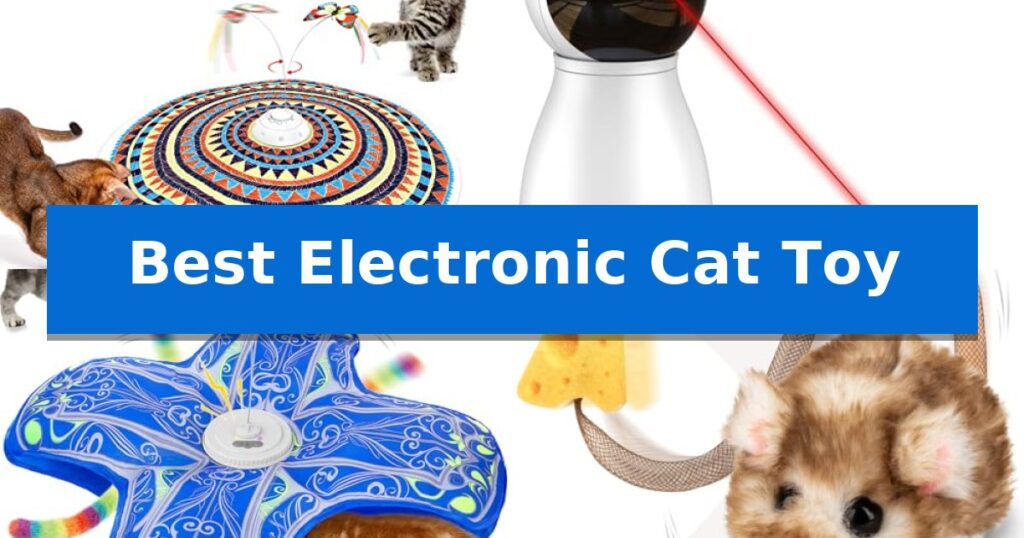 Best Electronic Cat Toy