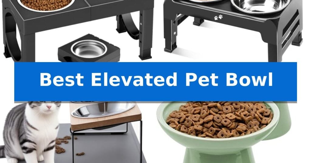 Best Elevated Pet Bowl