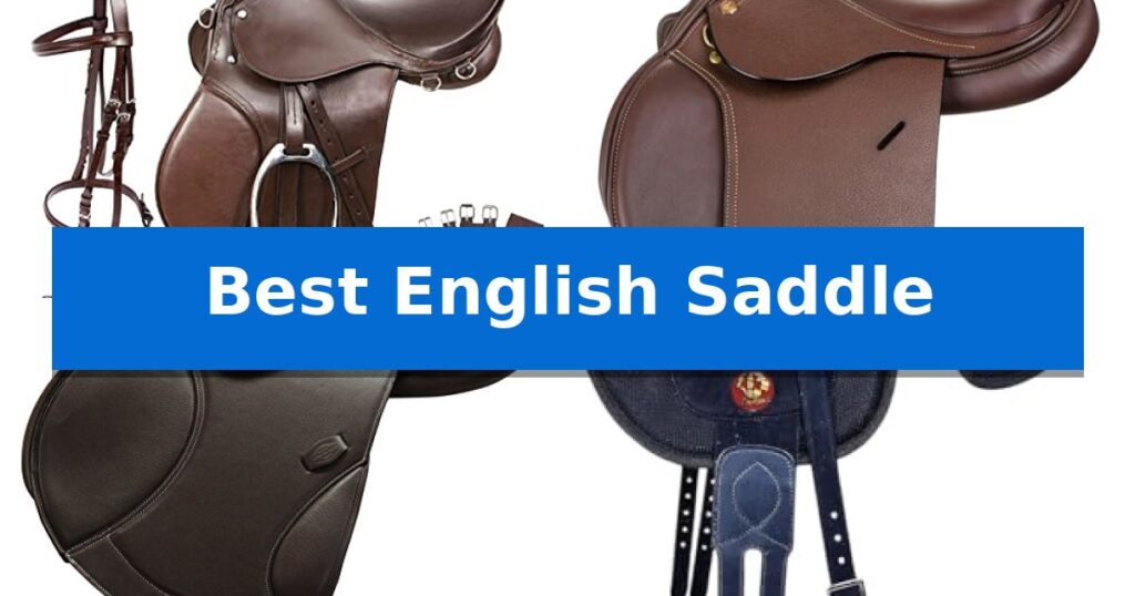 Best English Saddle