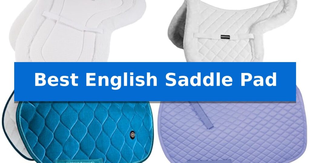 Best English Saddle Pad