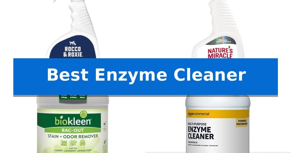 Best Enzyme Cleaner