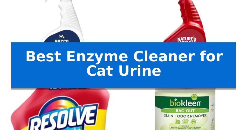Best Enzyme Cleaner for Cat Urine