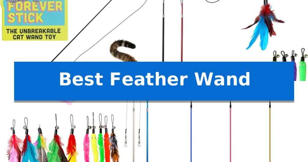 Best Feather Wand