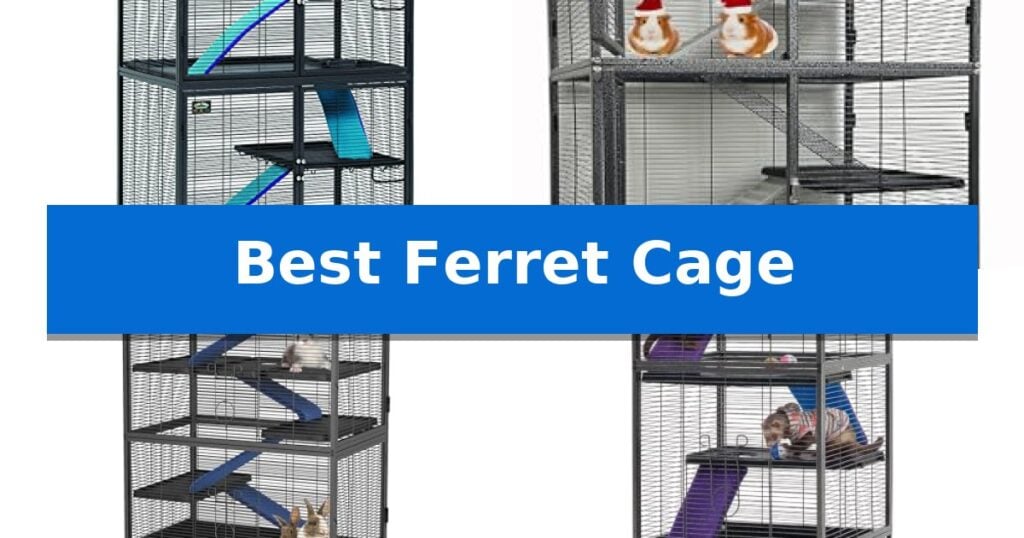 Best Ferret Cage