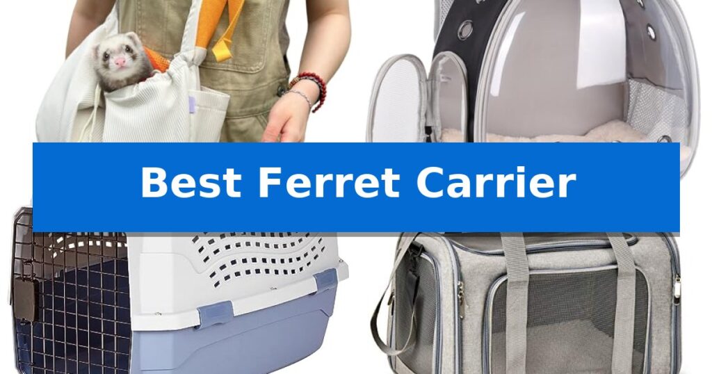 Best Ferret Carrier