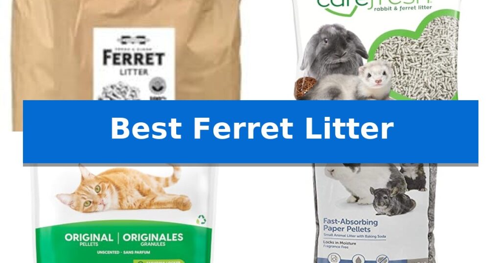 Best Ferret Litter
