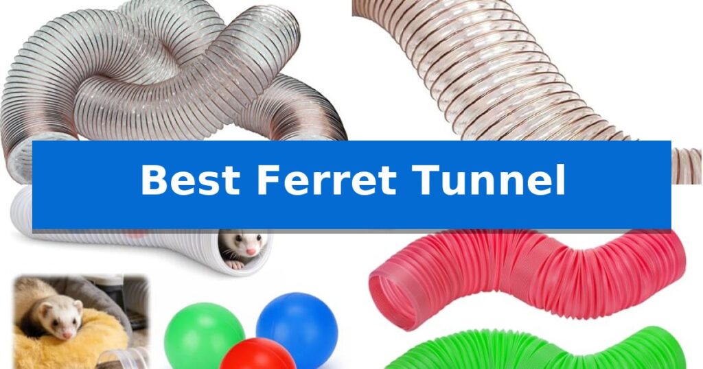 Best Ferret Tunnel