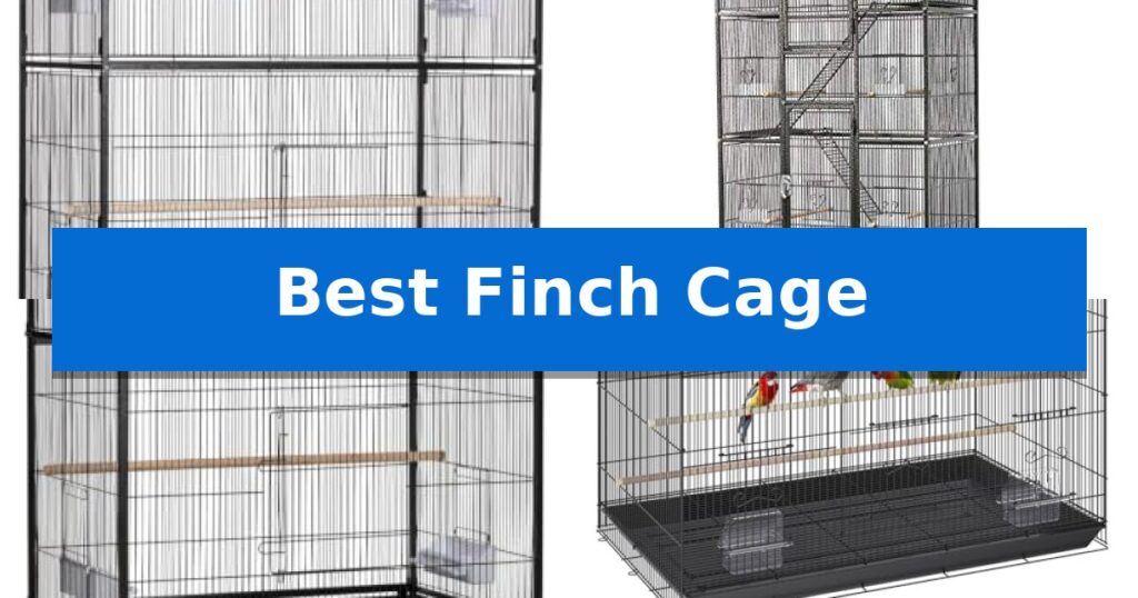 Best Finch Cage