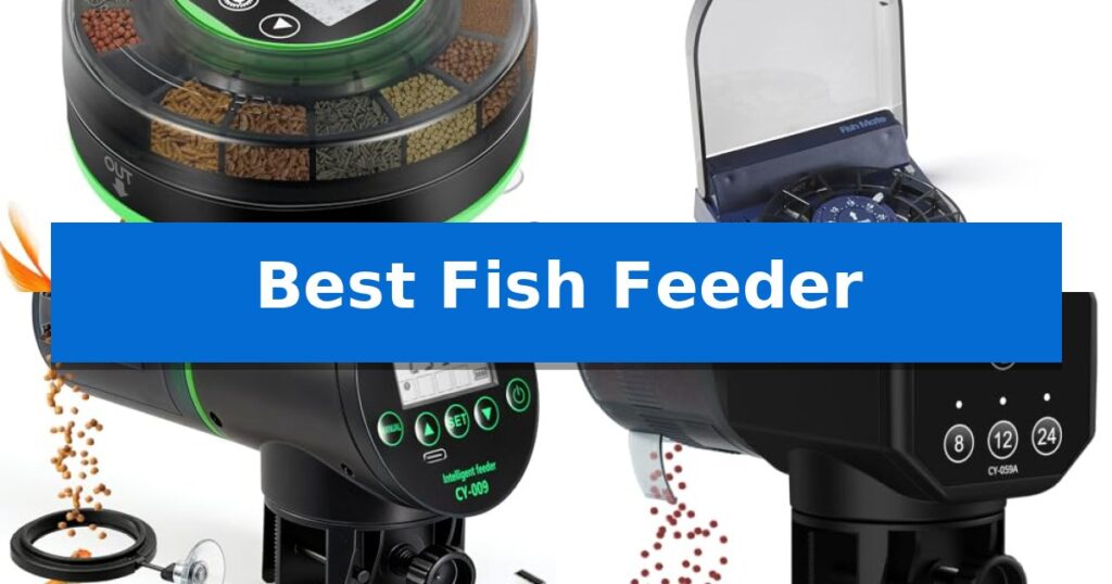 Best Fish Feeder
