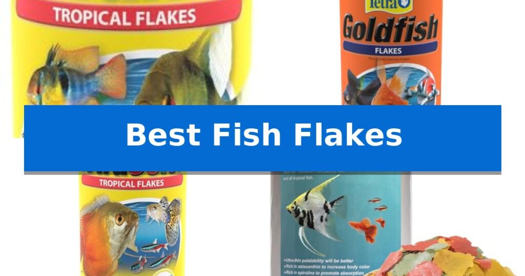 Best Fish Flakes