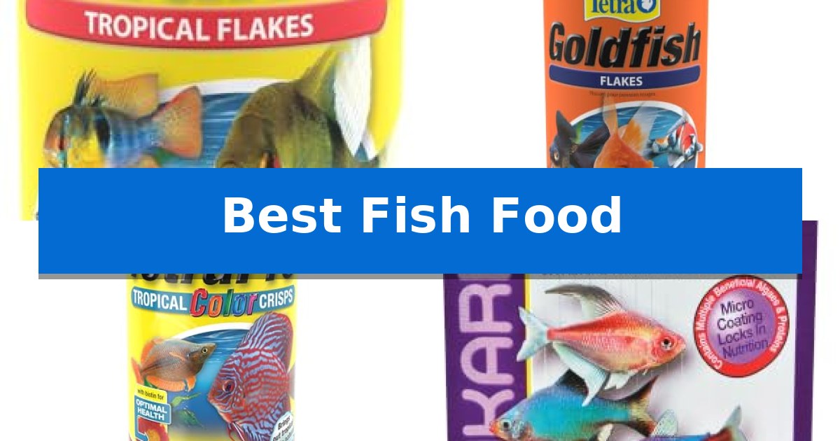 Best Fish Food in 2026: Nutrient-Dense Options for Every Tank - IERE ...