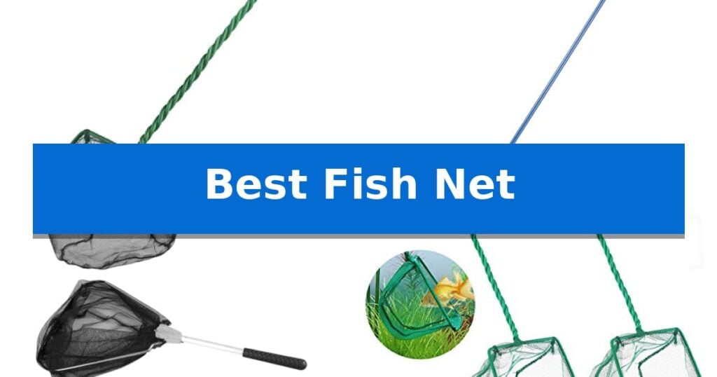 Best Fish Net