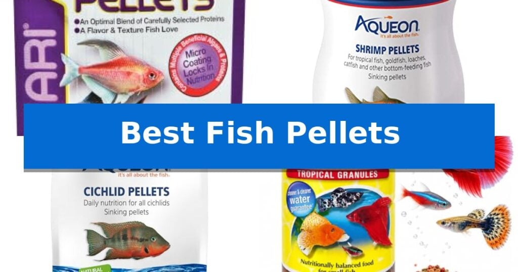 Best Fish Pellets