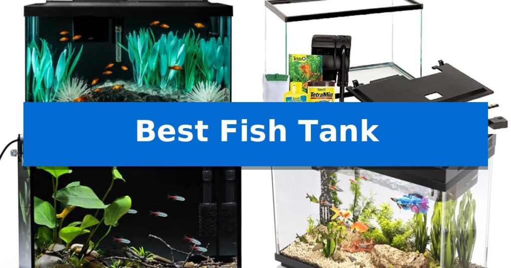 Best Fish Tank
