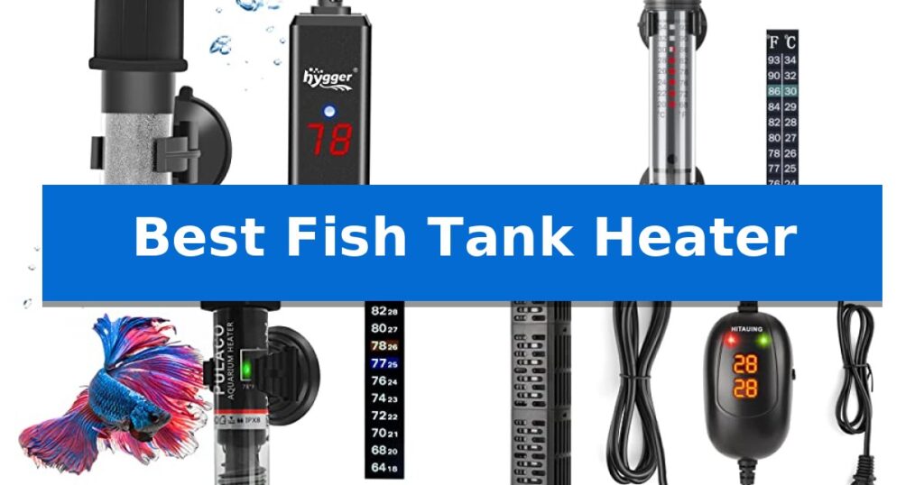 Best Fish Tank Heater