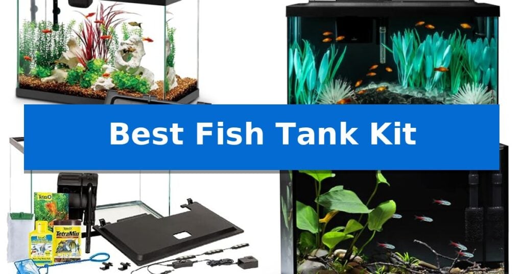 Best Fish Tank Kit
