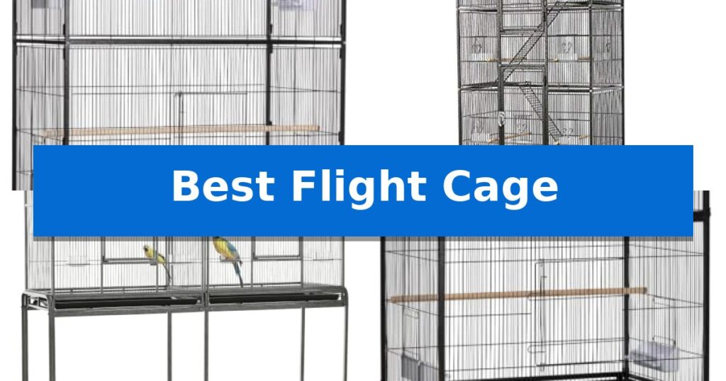 Best Flight Cage