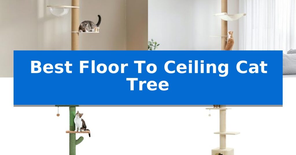 Best Floor To Ceiling Cat Tree