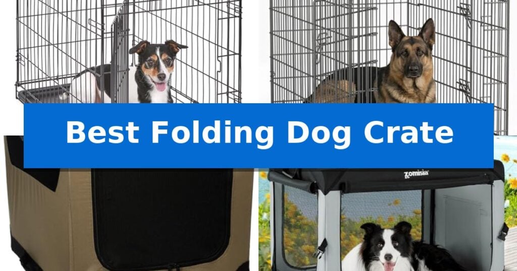 Best Folding Dog Crate