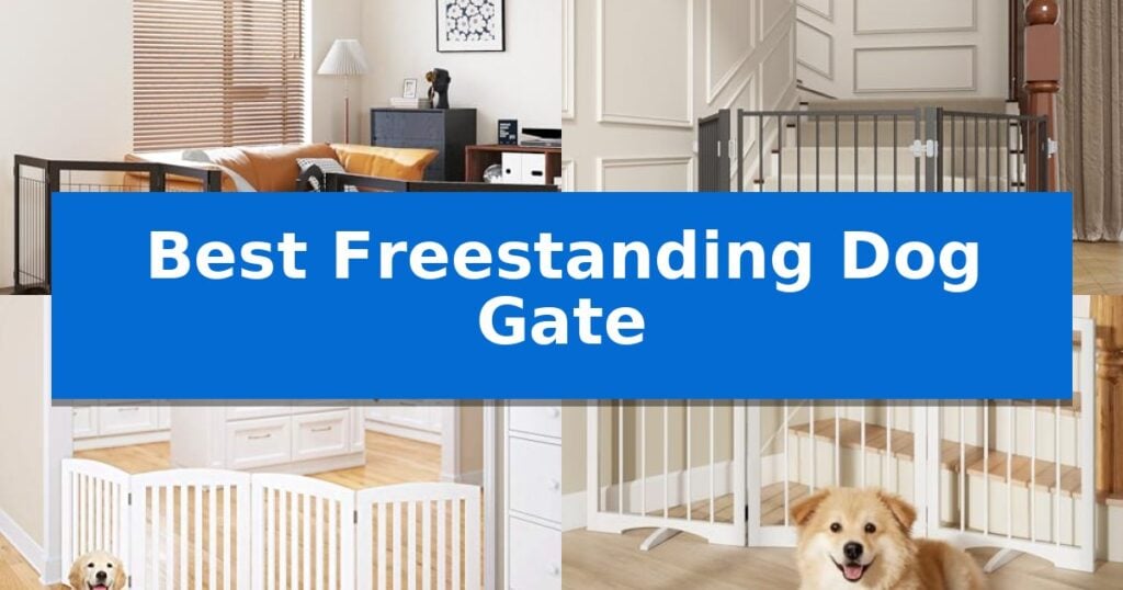 Best Freestanding Dog Gate
