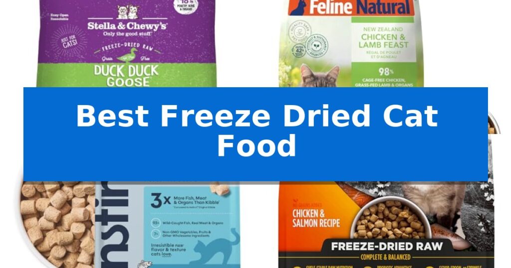 Best Freeze Dried Cat Food