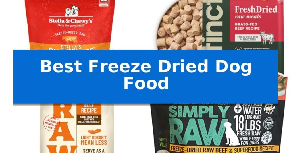 Best Freeze Dried Dog Food