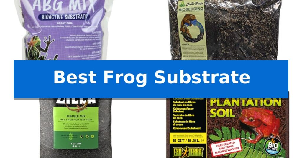 Best Frog Substrate