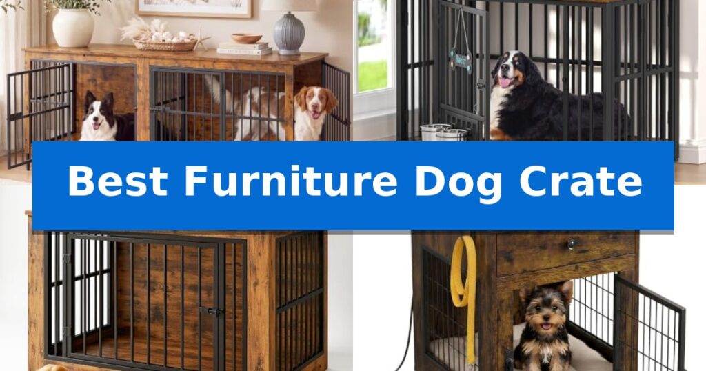 Best Furniture Dog Crate